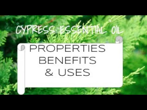 Cypress Essential Oil - Benefits & Uses