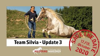 MUSTANG MAKEOVER 2020 - Team Silvia (TAG 4913) - Update 3