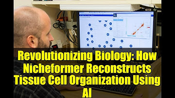 Revolutionizing Biology: How Nicheformer Reconstructs Tissue Cell Organization Using AI