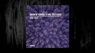 Andrew Consoli, Mr Saccardo - Grab Them (Original Mix)