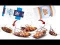 How To Kill Cockroaches With Boric Acid and Sugar