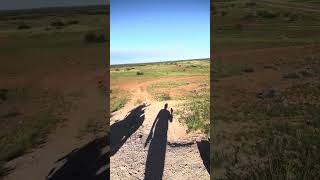 MtEbenezer mishap, the flies and the road pass two large pebbles.