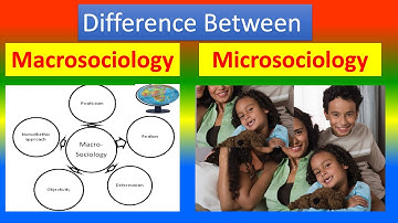 Differences Between  Macro sociology and  Micro sociology | Macro vs. Micro Sociology:  Explained