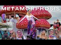 Metamorphosis 2025 Butterflies, Mushrooms &amp; Music: The FIRST Metamorphosis Festival 🦋🍄🎶
