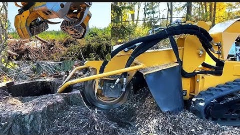 Ultra-Fast Tree Cutting Machine!