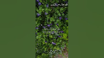 ويومئذ يفرح المؤمنون | سورة الروم | الشيخ محمد اللحيدان