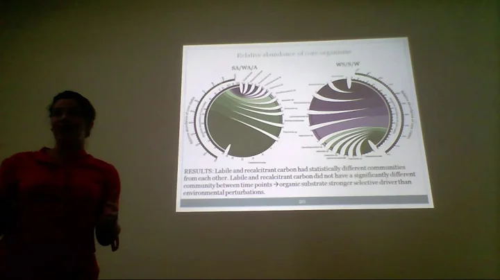 Dina Drennan's PhD Defense