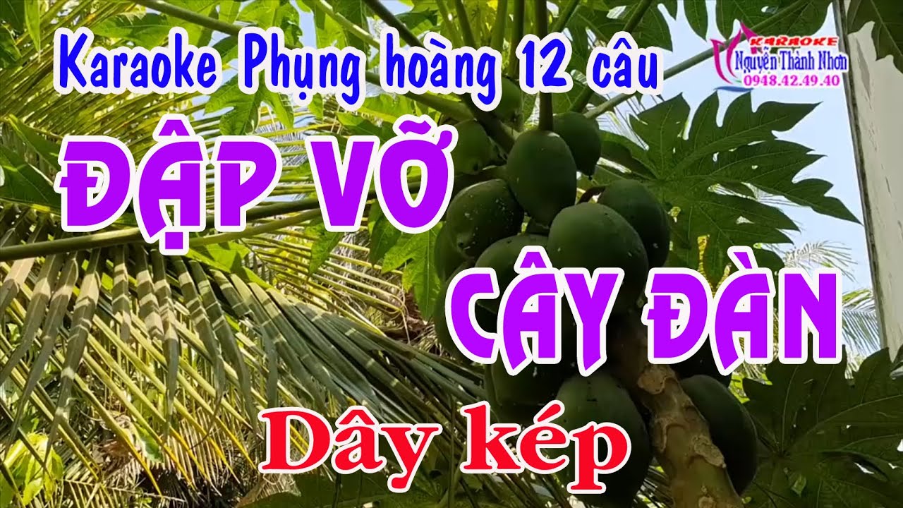 Karaoke phụng hoàng 12 câu ĐẬP VỠ CÂY ĐÀN - DÂY KÉP