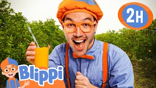 Blippi Visits An Orange Farm 🍊 | Blippi 🔍 | 🔤 Educational Subtitled Videos 🔤 | Learning Videos