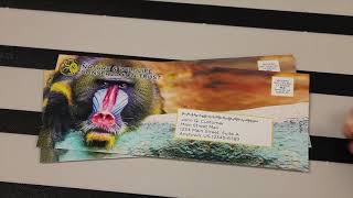 mach 6 envelope printer