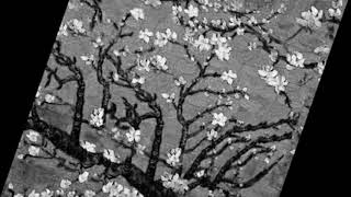 Yolun Başı°°°Sertap Erener Resimi