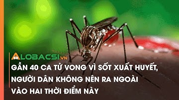 Gần 40 ca tử vong vì sốt xuất huyết, người dân không nên ra ngoài vào hai thời điểm này