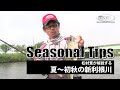Seasonal Tips Files_013～松村寛が解説する夏～初秋の新利根川～
