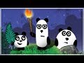 Zwierzaki w Opałach! Darmowe Gry Online: Trzy Pandy: Noc