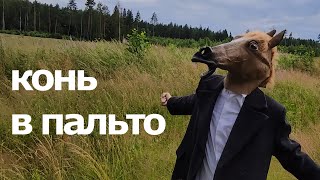 КОНЬ в Пальто - Sobrat (Премьера Клипа 2020)