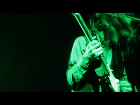 Creaturas Video