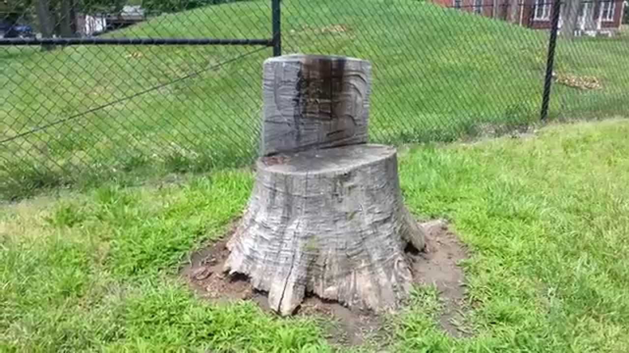 camera iphone 8 plus apk Indian Mound at Historic Fort Wayne in Detroit, Michigan