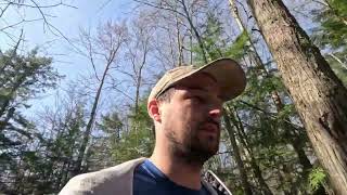 Hidden Gem of Norfolk: Hammond Hemlock Slough Forest Reserve