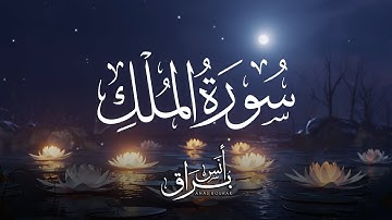 استمع إلى تلاوة سورة الملك بصوت الشيخ أنس براق، الصوت العذب