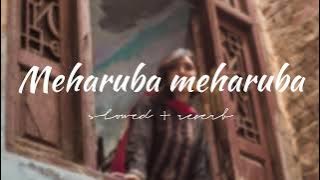 Meharuba meharuba song slowed   reverb | Meharuba | Musikova🫶🏼💗 |