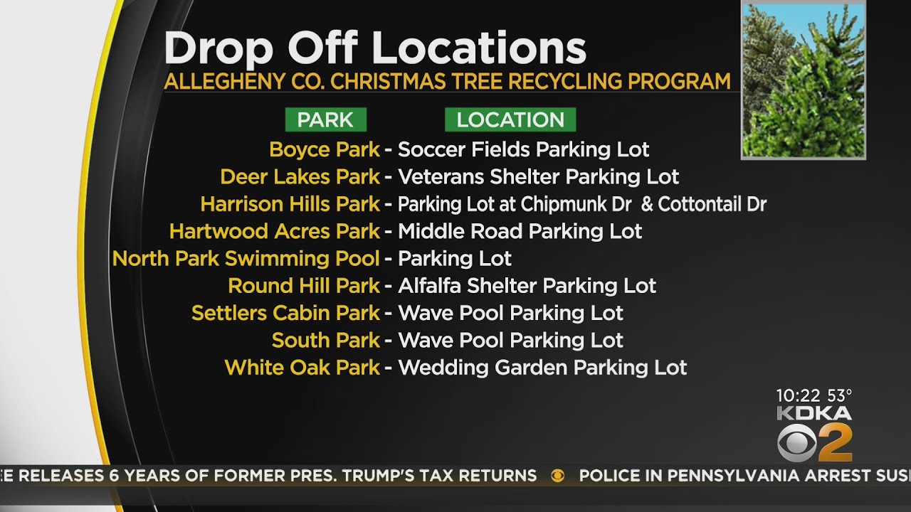 Allegheny County offering free Christmas tree recycling program YouTube