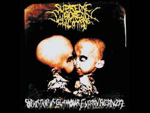 Supreme Gore Delicatessen - Callampeando al Nazareno thumbnail