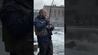 Michigan salmon Fishing| Tippy Dam| Big salmon #shorts #salmon #awesome #trend #viral #nature