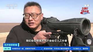 [经济信息联播]万盏灯 亮中国 湿地上的守护者：复闻朱鹮声 人来鸟不惊| 财经风云