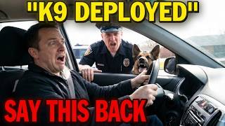 LAWYER EXPLAIN : If Police Call a K9 Unit, You Have 60 Seconds to Do THIS(Most People Fail)