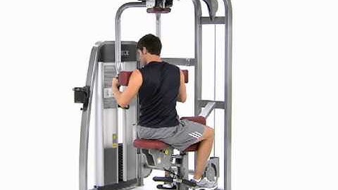 Trunk Rotation - Cybex Eagle Torso Rotation