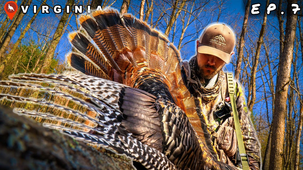 VIRGINIA PUBLIC LAND Turkey Hunting with THE HUNTING PUBLIC YouTube