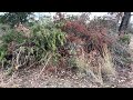 The RV Park at McKinney Roughs – Drone Footage: Land Development Begins