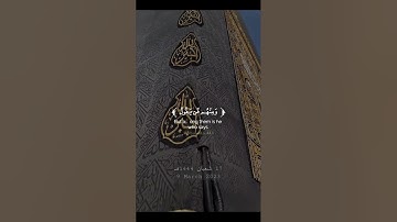 تلاوة خاشعة من سورة البقرة للقارئ محمد هشام حسن | الحج أشهر معلومات