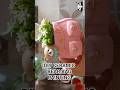 DIY | Craftopedia Ceramic Bear Bag Holder | Wait Till the Final Result #diy #shorts #viralshorts