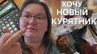 Система денежных конвертов/Получится ли накопить на курятник/Очень длинное видео/Одна в деревне??‍♀️