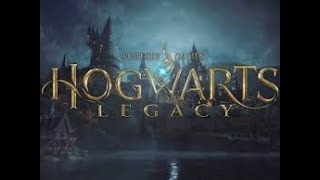 Hogwarts Legacy F128 Der Ego im Rahmen