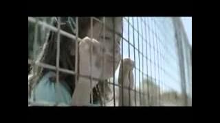 Download lagu NUTRILON Life Start Here