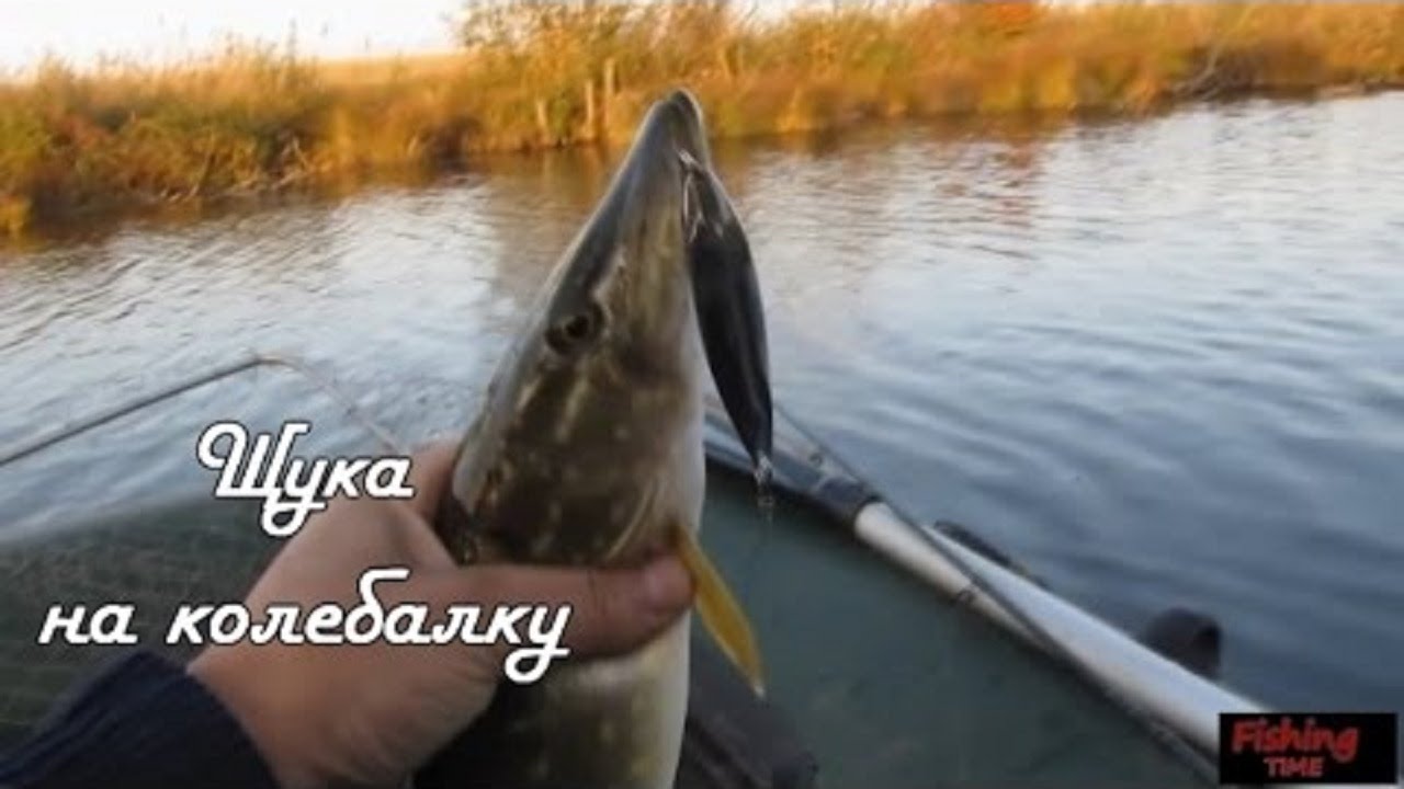 колебалки на щуку осенью фото онлайн колебалки на щуку осенью фото