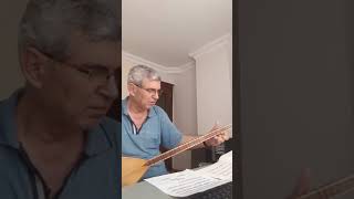 Aşağıdan Bir Yel Esti  - Sivas