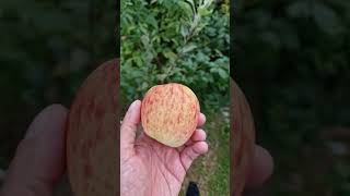 La Nature Est Capitaliste