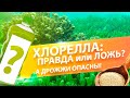 ОТВЕТЫ НА ВОПРОСЫ. ДРОЖЖИ НА ОГОРОДЕ , ФИТОФТОРА ТОМАТОВ, ПРИМЕНЕНИЕ ХЛОРЕЛЛЫ и УДАЛЕНИЕ ЛИСТЬЕВ