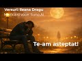 Te Am Așteptat 