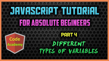 Javascript Tutorial for begineers | Part 4 | Different types of Variables