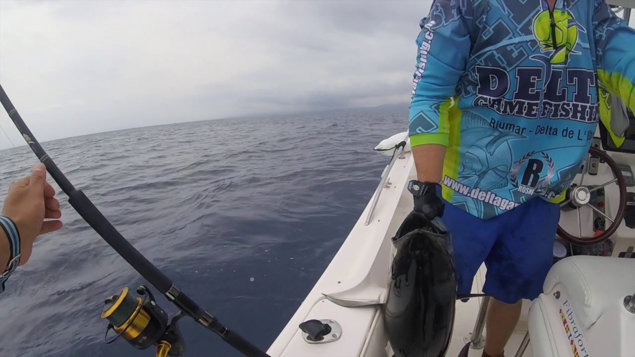 Surface fishing for Tuna in Spain YouTube