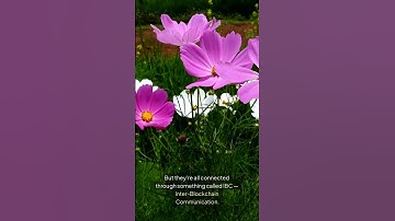 Cosmos (ATOM) in 60 Seconds | The Internet of Blockchains #cryptoexplained #cosmos #atom #web3 #ibc