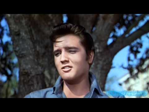 Embracing Life's Adventures: Gotta Lotta Living To Do by Elvis Presley