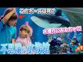 【名古屋シーライフ】竜宮城のような水族館でお魚の㊙な知識をたくさん学びました🐠✨️