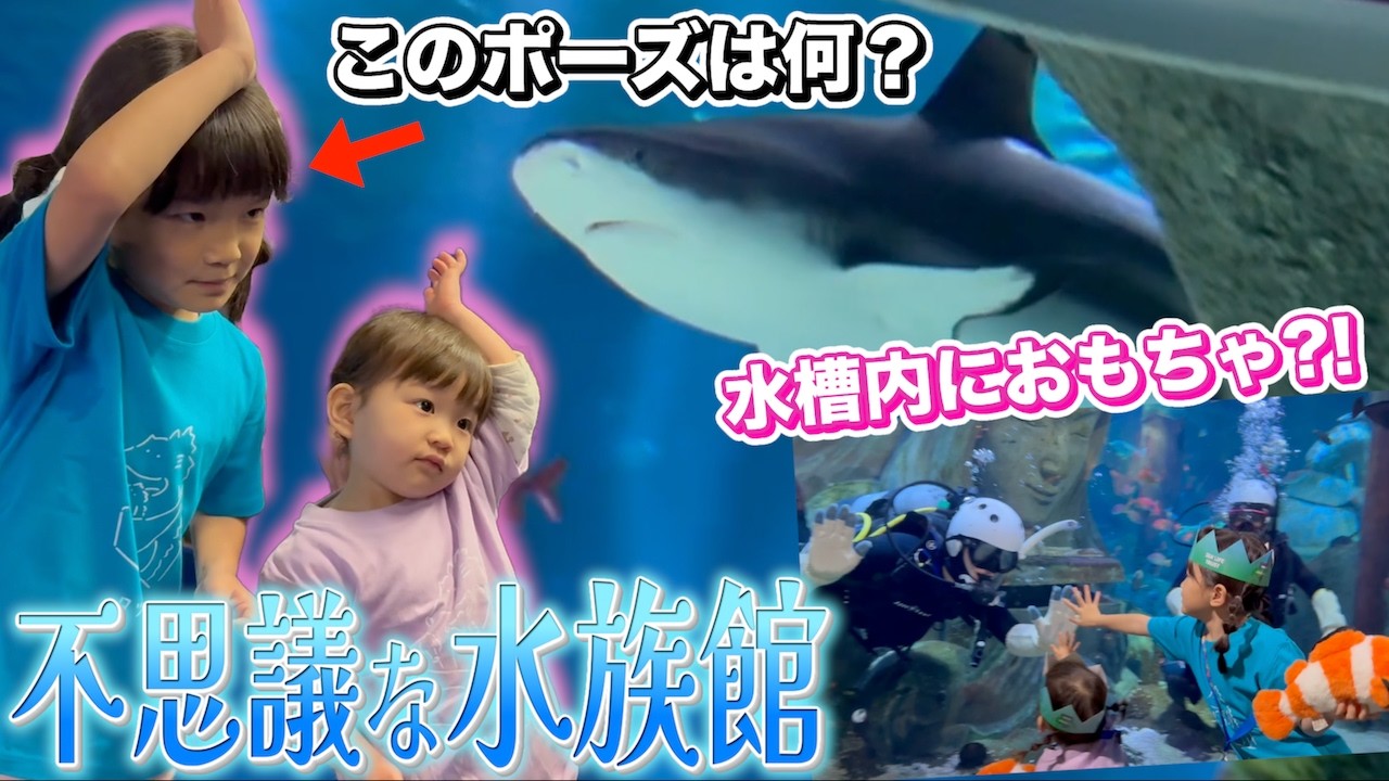 【名古屋シーライフ】竜宮城のような水族館でお魚の㊙な知識をたくさん学びました🐠✨️