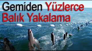 Gemiden Yüzlerce Balık Yakalama Resimi