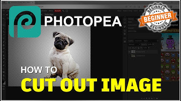 Photopea How To Cut Out Image Tutorial